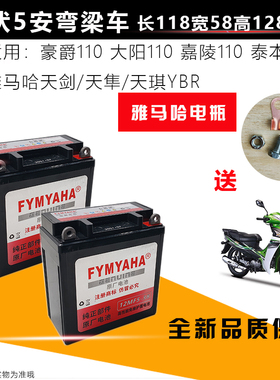 雅马哈TZR125天剑YBR125鑫源悠客XY50Q-7A摩托车电瓶蓄电池YB5L-B
