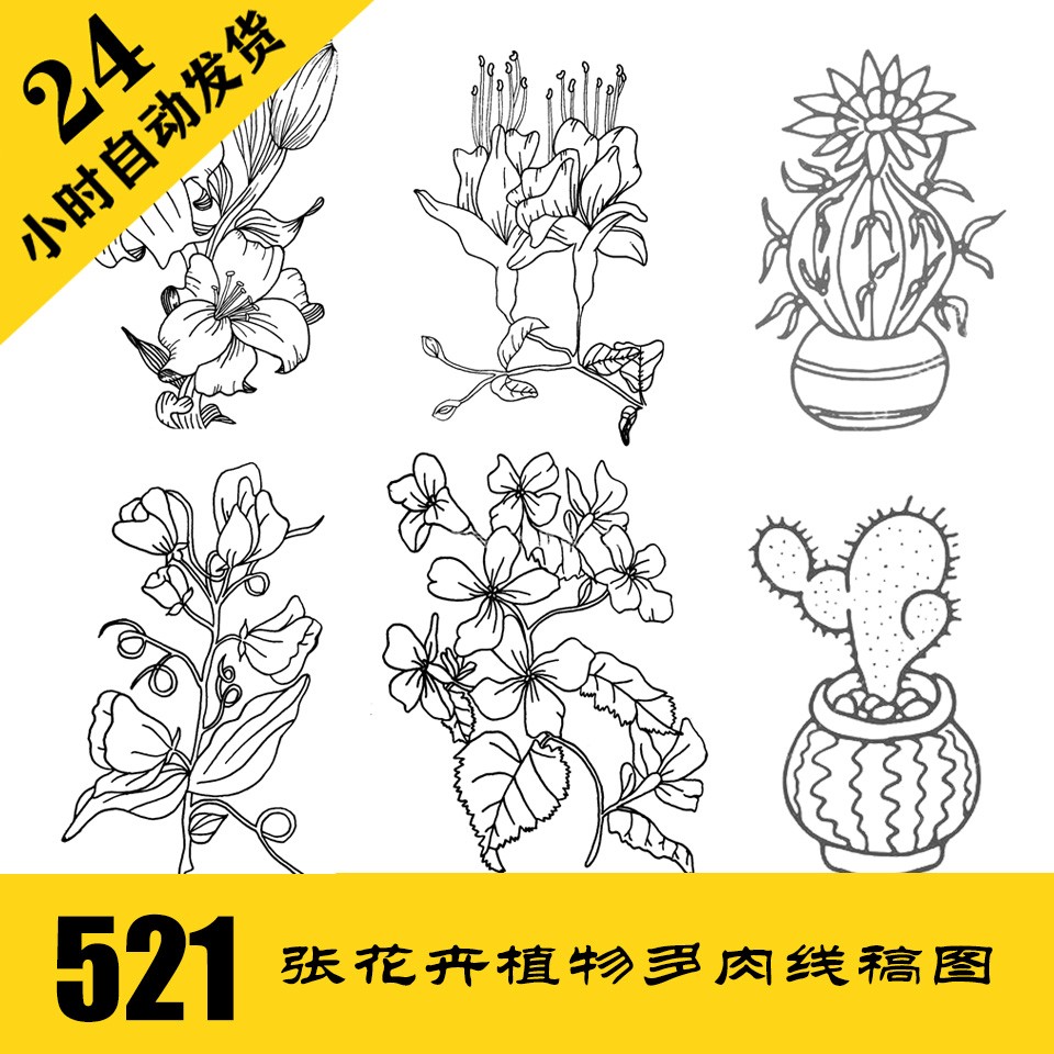 C063 花卉植物多肉线稿 针管笔简笔画电子图521张 24小时自动发货