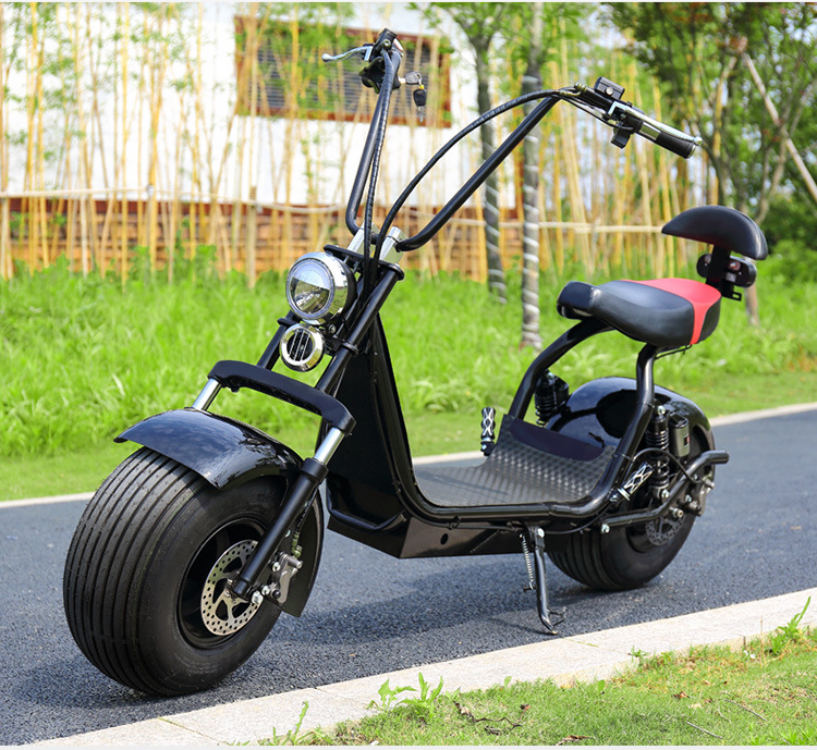 厂家直销X8哈雷成人通用电动车哈雷电瓶摩托车滑板车超威铅酸电池