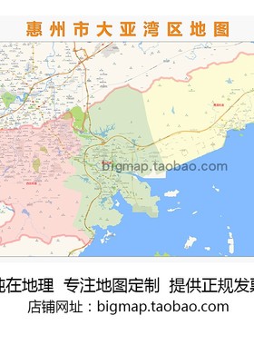 惠州市大亚湾区地图行政区划路线定制2022城市交通区域划分贴图