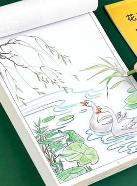 抖音爆中国画白描入门花鸟鱼虫工笔画儿童手绘临摹勾线小学绘画本