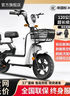 新国标可上牌电动自行车电动车成人小型电瓶车48v锂电池代步车用