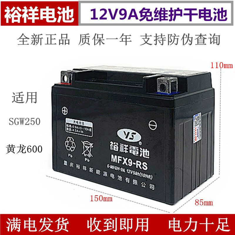 摩托车电瓶YTX9-BS黄龙600/300光阳250GW25012V9A裕祥电池