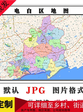 电白区地图1.1米可定制广东省茂名市JPG格式电子版高清新款图片