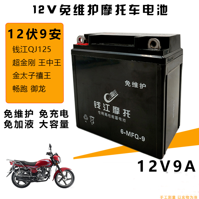 摩托车电瓶钱江QJ125-J-a1超金钢王中王金太子禧王畅跑御龙蓄电池