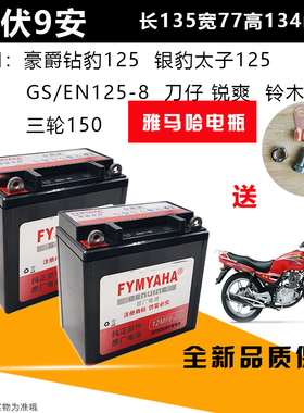 雅马哈宗申大阳隆鑫12V9A三轮摩托车通用干电瓶免维护蓄电池免加