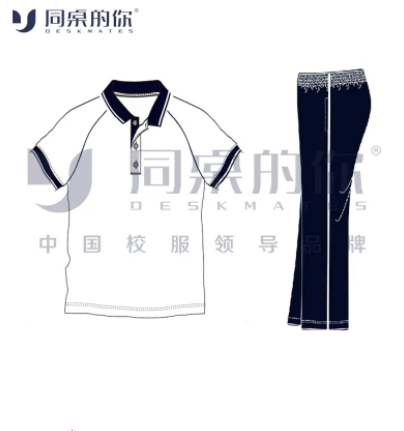 有现货（江阴市澄西中学 高中）夏季运动装高中生校服短袖长裤