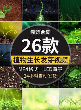绿色植物自然生长成发芽小树水滴种子舞台LED大屏幕背景视频素材