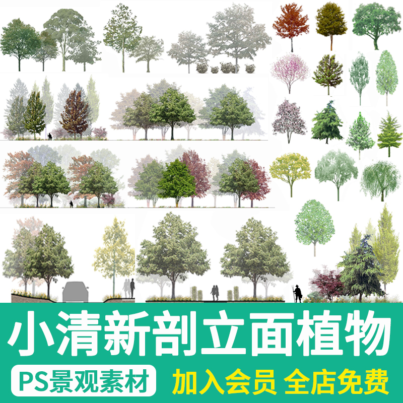 园林景观小清新立面树木psd植物PS剖面断面分析效果图配景乔木