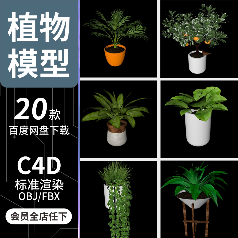 C4D/OBJ/FBX 20款高质量植物盆栽模型工程源文件3D建模标准渲染