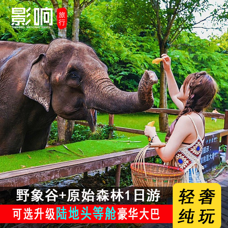 云南旅游西双版纳一日游野象谷原始森林/保证纯玩可约雨林牧象