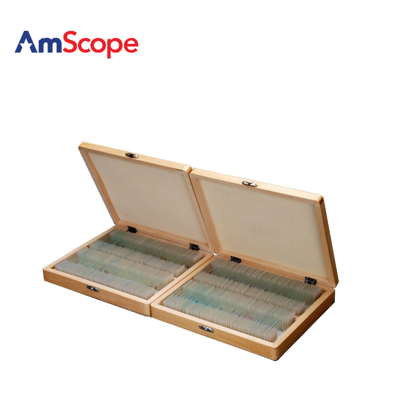 AmScope 200pc制备的玻璃显微镜载玻片植物真菌昆虫哺乳动物标本