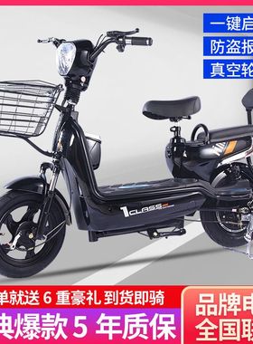 新款电动车成人锂电池48V电瓶车小型电动自行车男女二轮车代步车
