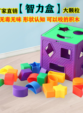 儿童益智几何形状认知配对正方形塑料积木幼儿园宝宝智力盒玩具