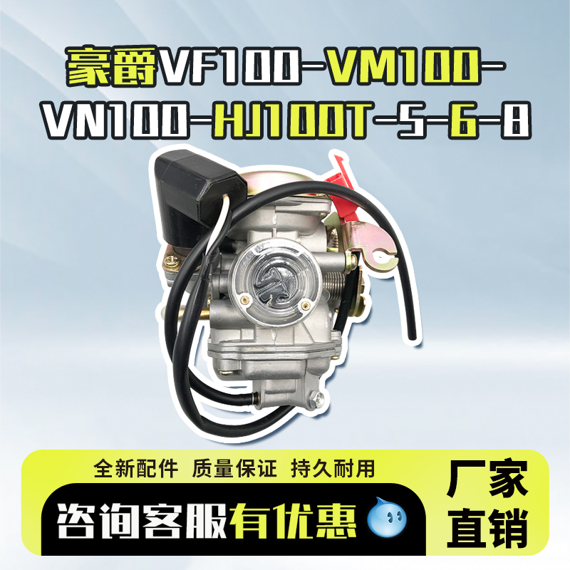 摩托车配件适用豪爵踏板化油器国二三VM-N100-VF100-HJ100T-5-6-8
