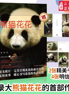 熊猫花花 暖心书写熊猫花花的家族和花花成长历程 熊猫萌兰 熊猫知识科普大熊猫的生物学特点和生活习性熊猫科普书籍
