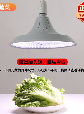 新国标led生鲜灯猪肉灯熟食灯冷鲜肉专用灯水果市场灯海鲜蔬菜灯