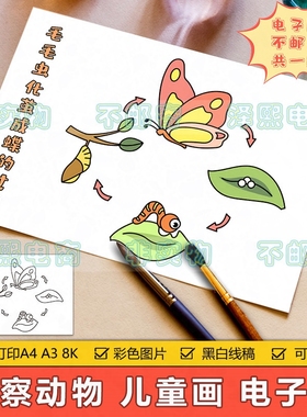 观察动物昆虫儿童画手抄报模板小学生毛毛虫变成蝴蝶的过程简笔画