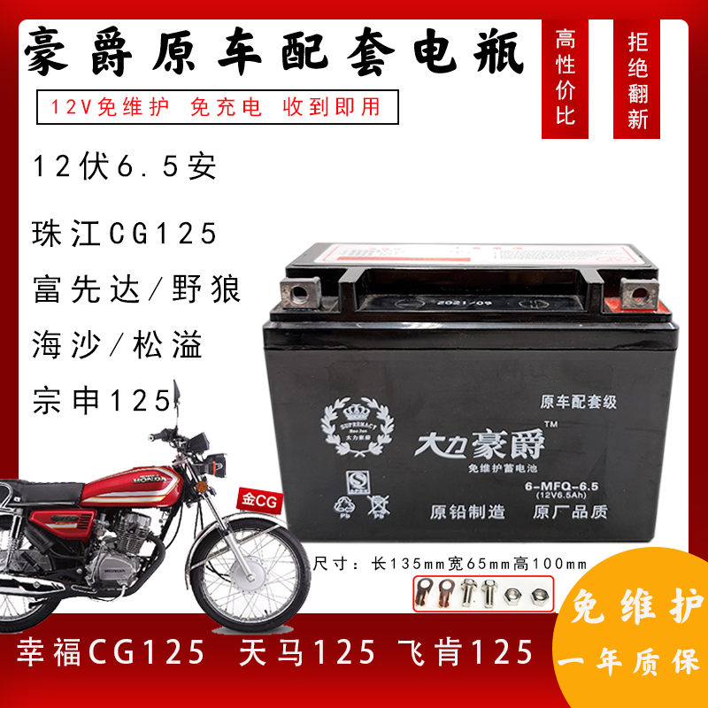 CG125款摩托车电瓶12v6.5Ah电池宗申飞肯珠江125男装CG款干电池