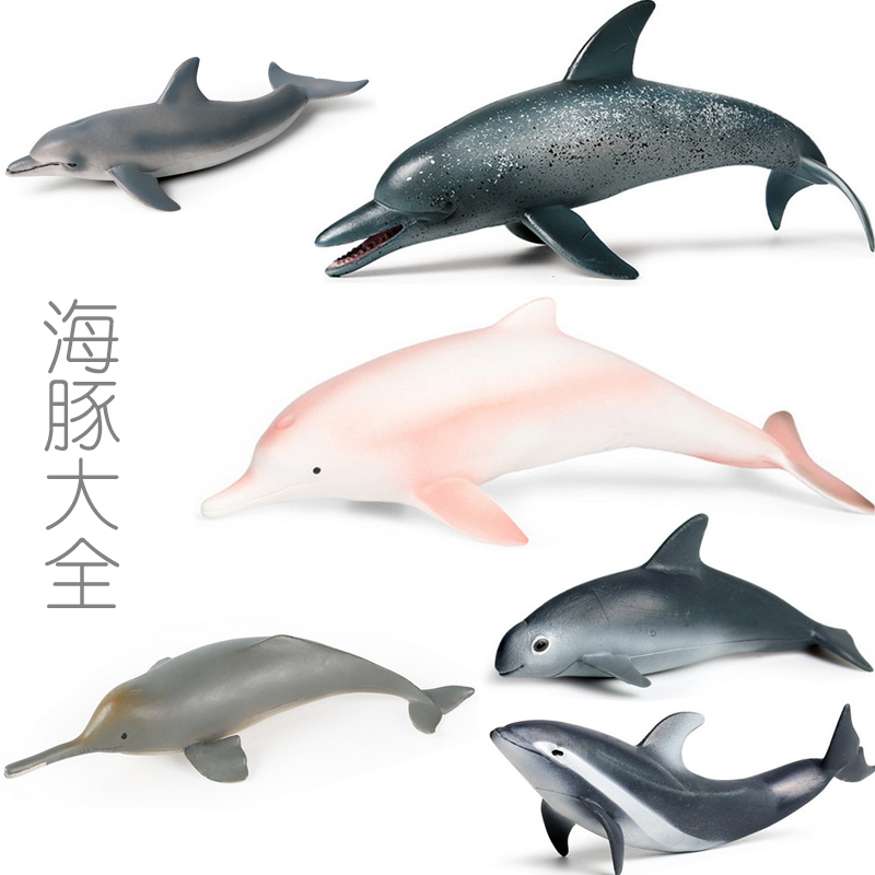 中华白海豚玩具长短吻太平洋斑纹加湾鼠海豚仿真模型儿童认知公仔