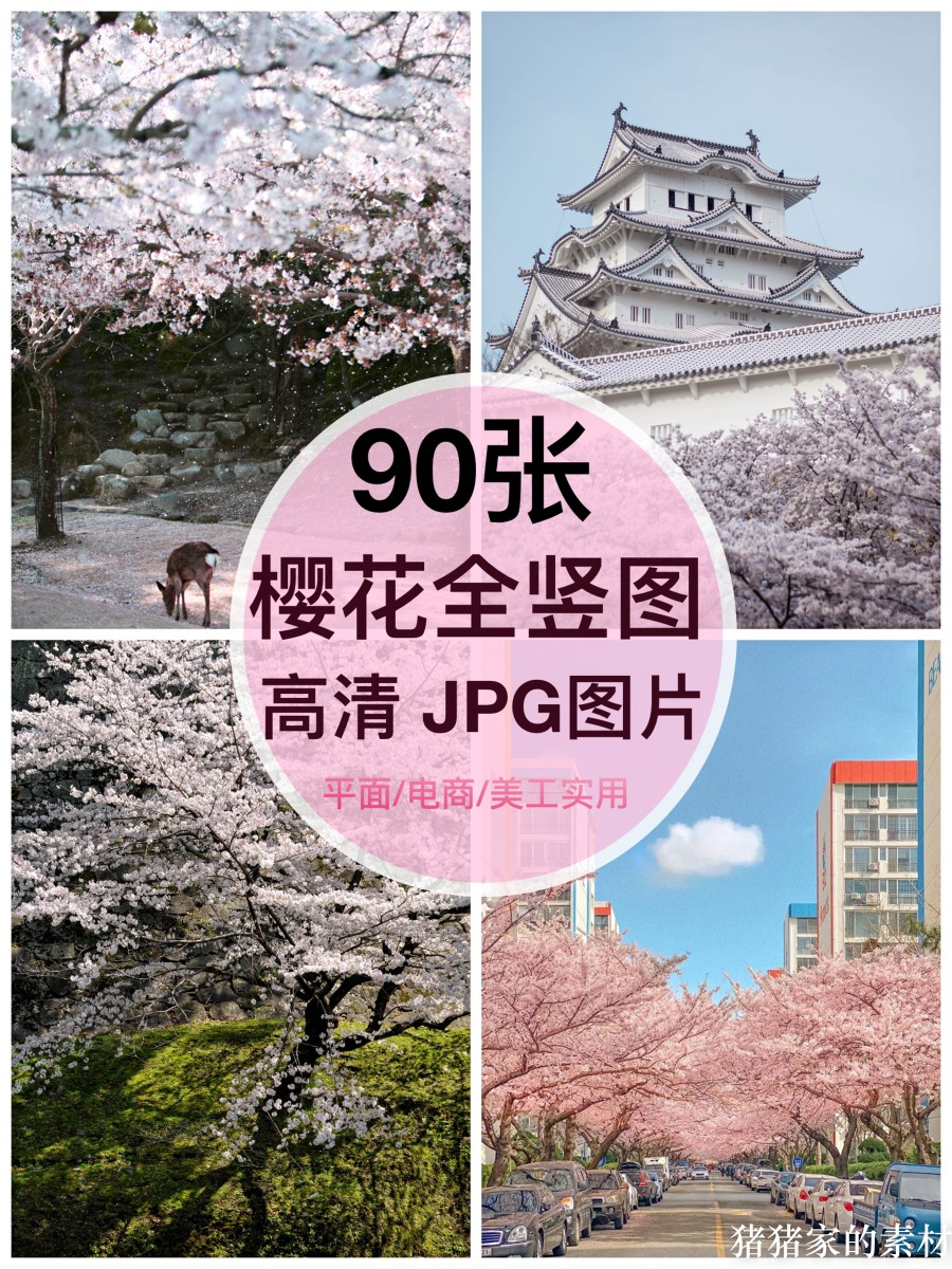 高清全竖图片 日系浪漫樱花树花朵自媒体抖音PS设计手机壁纸素材