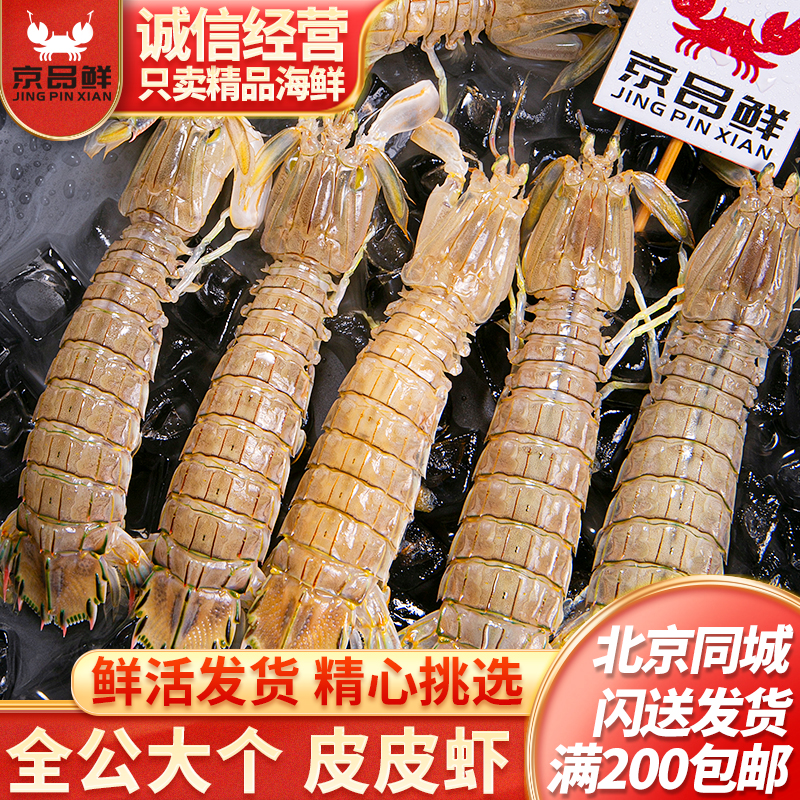 500g  大公皮皮虾鲜活 新鲜  虾爬子富贵虾濑尿虾 虾姑北京海鲜