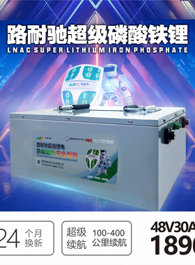 比亚迪刀片电池 大容量磷酸铁锂电池 电动车观光车专用动力 48V30