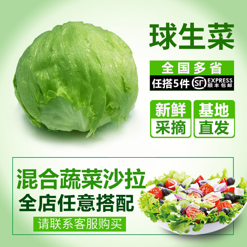 【千牛优福】球生菜500g新鲜蔬菜沙拉食材汉堡球形西生菜 5斤包邮