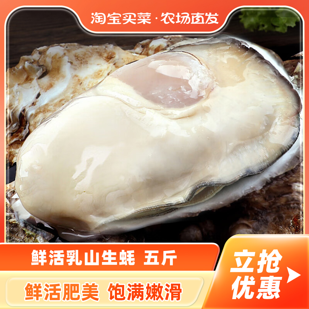 鲜活乳山生蚝3XL 5斤新鲜牡蛎超大肉海蛎子带壳刺身即食海鲜水产