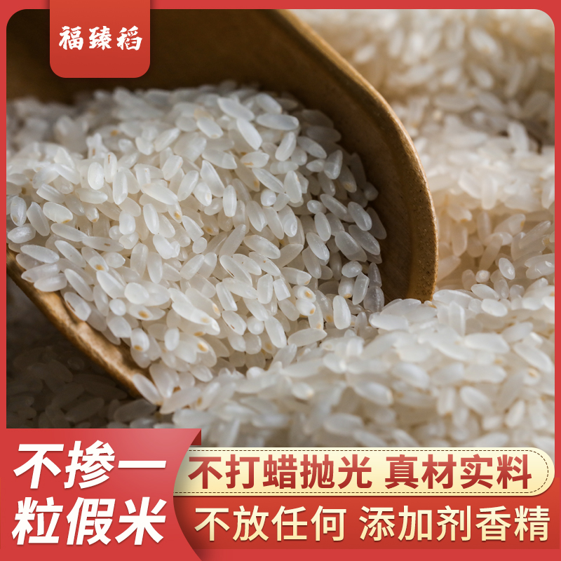 东北地区黑龙江省长粒香大米5kg 长粒香米新米10斤装优质米包邮