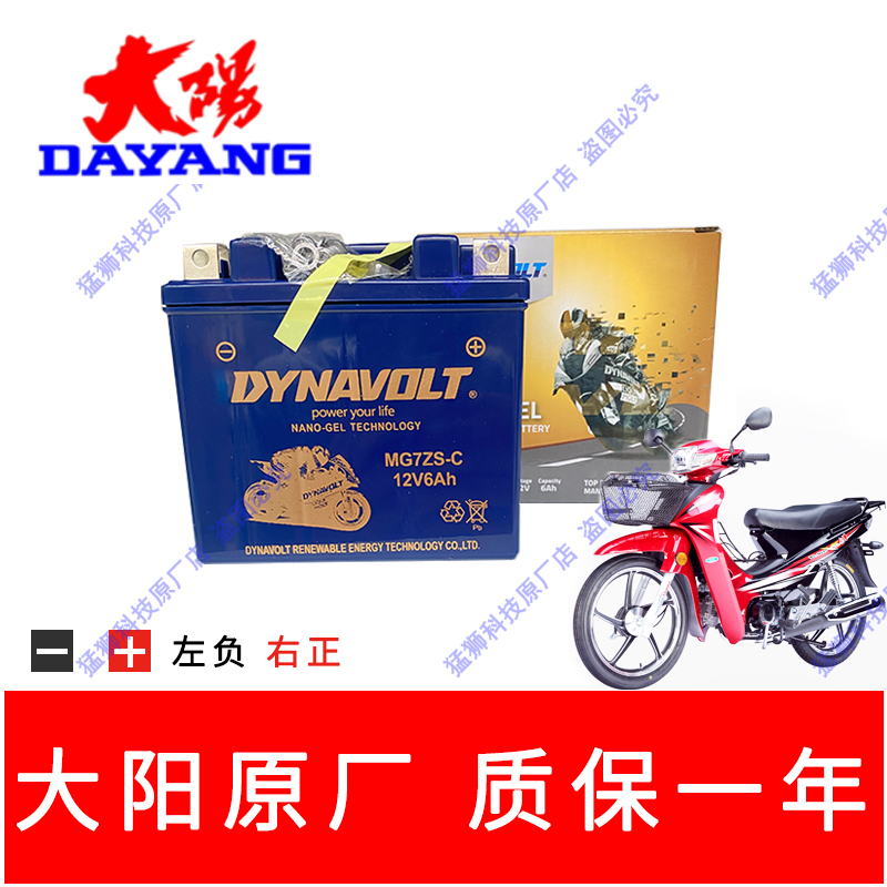 大阳摩托车配件DY100T-7电瓶110-3/世纪风100T-7蓄电池5L-BS