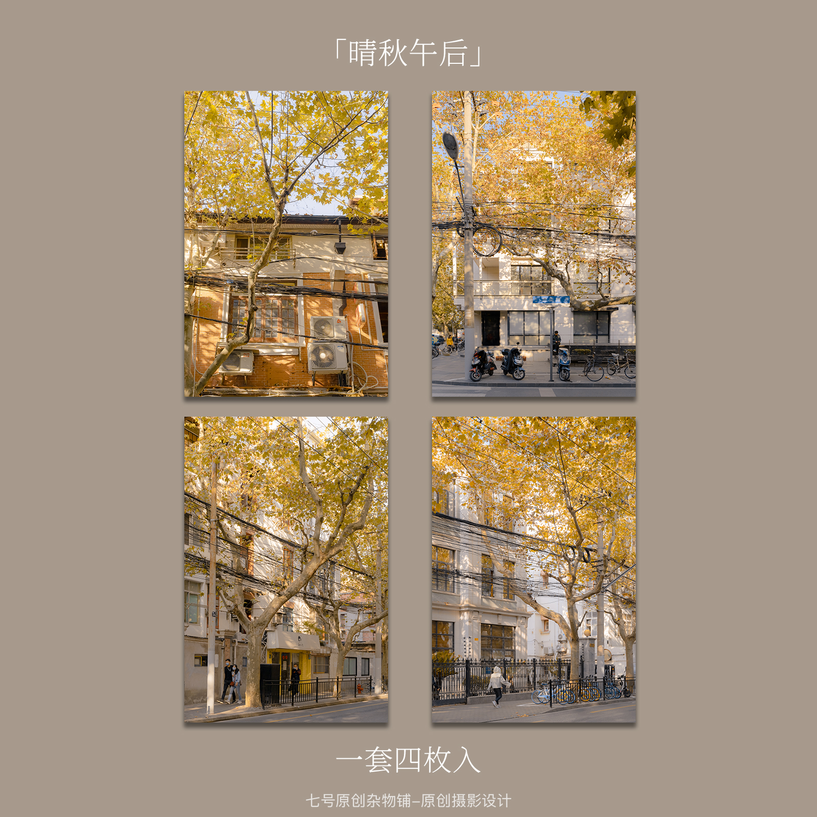七号原创「晴秋午后」摄影明信片贺卡上海街头梧桐树秋天景色卡片