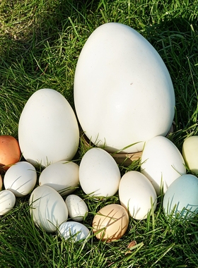 鹅蛋鹌鹑蛋彩绘蛋大鸡蛋仿真蛋玩具鸡蛋壳人造鸭蛋巨蛋高仿真手工