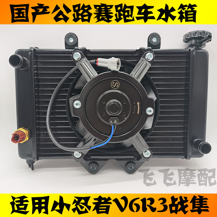 国产小忍者摩托车水箱永源350战隼V6R3六代地平线散热器总成风扇