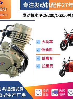 三轮摩托车发动机CG200、CG250宗申配置单缸发动机水冷捍威款