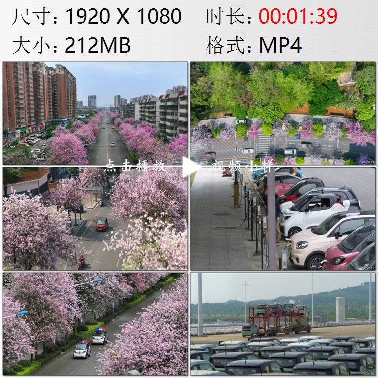航拍广西柳州街道两旁紫荆花树绽放新能源微型汽车城实拍视频素材