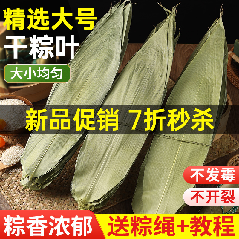 粽子叶粽叶干大号棕叶新鲜包粽子的竹叶子干粽叶商用箬叶批发材料