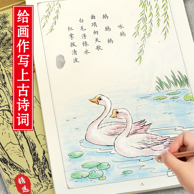 中国画白描古诗词零基础入门工笔花鸟描画白描底稿描摹本线描画册