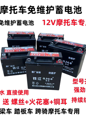 摩托车电瓶12V9A蓄电池免维护125干电池配件12V电瓶6.5安电池包邮