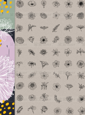 90+款AI矢量手绘黑白线条花卉艺术线描白描插画PNG图片SVG素材EPS