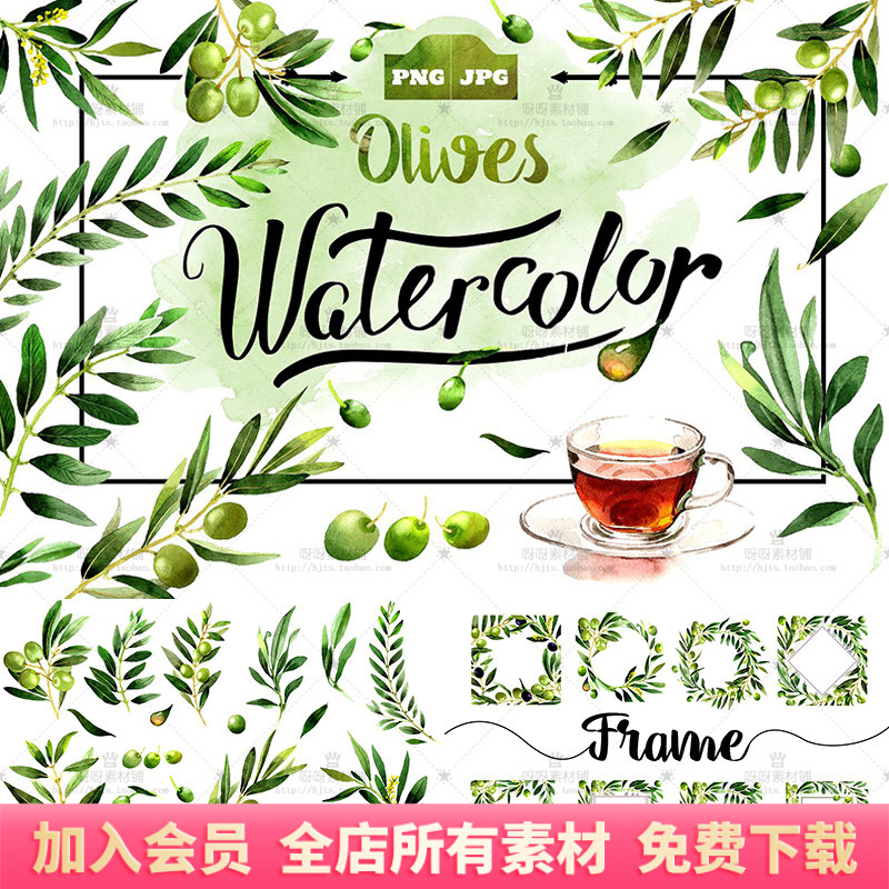 手绘水彩绿色橄榄树枝果实花环边框背景图案PNG免抠装饰设计素材