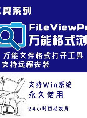 FileViewPro远程安装 万能文件格式打开工具FileView2024全能查看