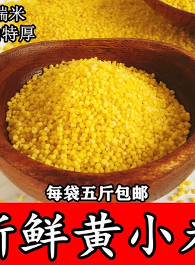 藁城马庄黄金苗新鲜小黄米新米5斤宝宝米农家食用黄小米坐月子米