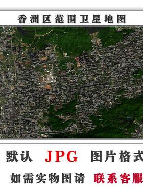 黄埔卫星区域地图交通可订制2.5米上海市电子版JPG素材图片素材