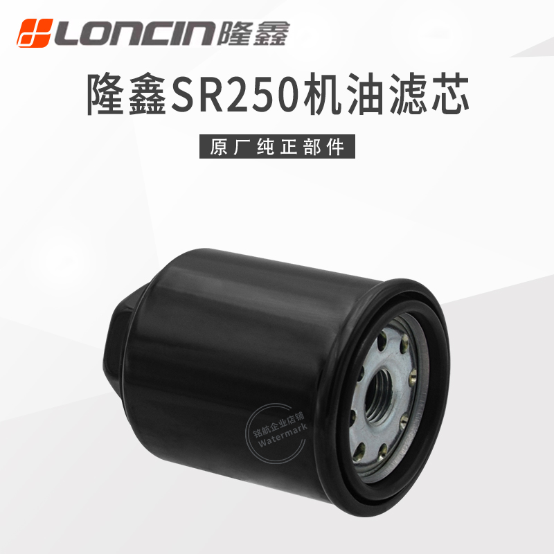 隆鑫LX250T无极SR250GT踏板车发动机原装精滤器组合 机油格滤芯
