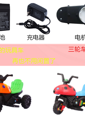 儿童车三轮电动摩托七星瓢虫玩具车蓄电池电瓶充电器专用通配件6V
