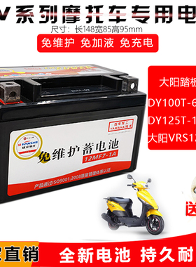 适用大阳DY100T-6-8 DY125T-16-26  VRS125 ADV150踏板摩托车电池