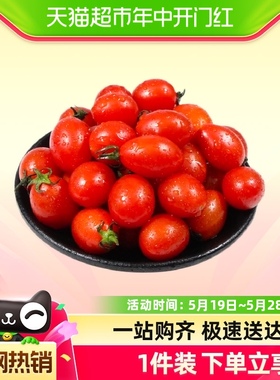 山东聊城圣女果小番茄2/3/5斤装香甜可口整箱包邮