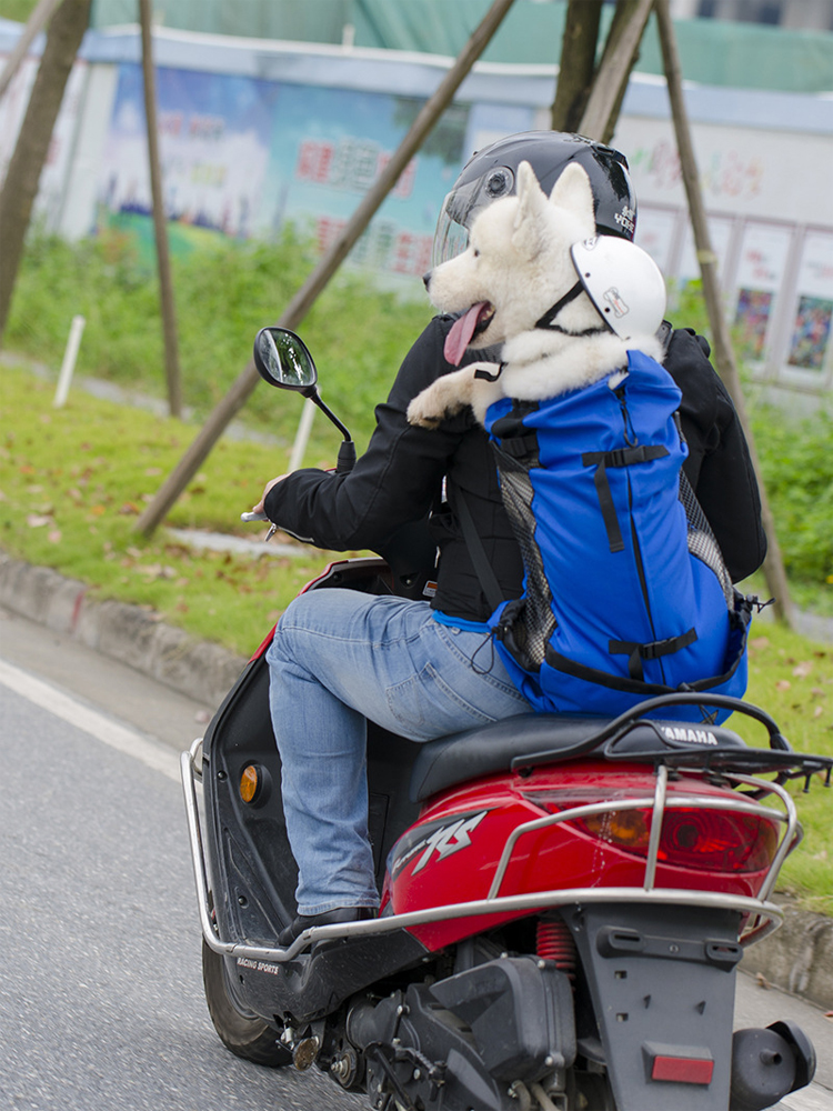 狗狗坐电动车神器骑车带狗背包中型犬外出包宠物便携包双肩背狗包