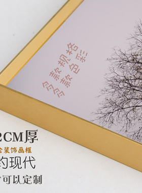 现货铝合金拉丝现代简单有机玻璃卡纸相框画N框玫瑰金木纹装裱挂